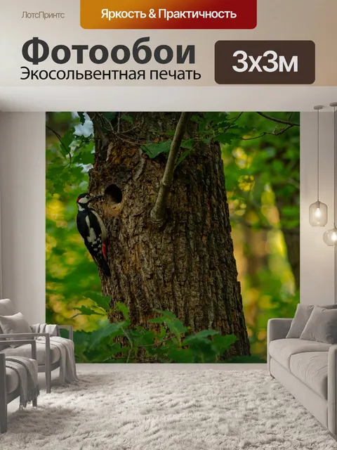 Фотообои Дятел