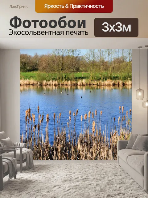 Фотообои Фон