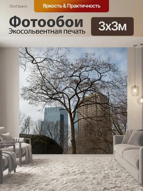 Фотообои Центральный парк, Нью-Йорк
