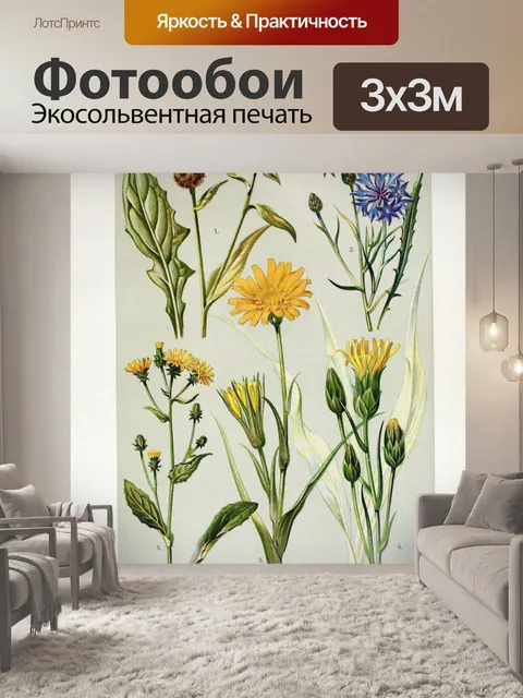 Фотообои Цветочная иллюстрация полевых цветов ста