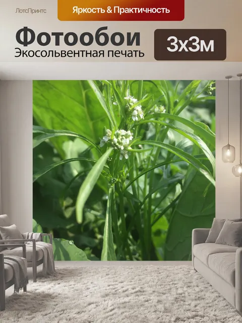 Фотообои Лист