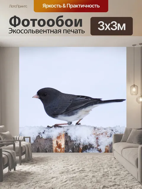Фотообои Птица