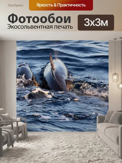 Фотообои Дельфинов в спаривании
