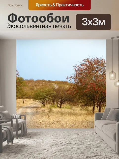Фотообои Деревья подкладка пустынной дороге