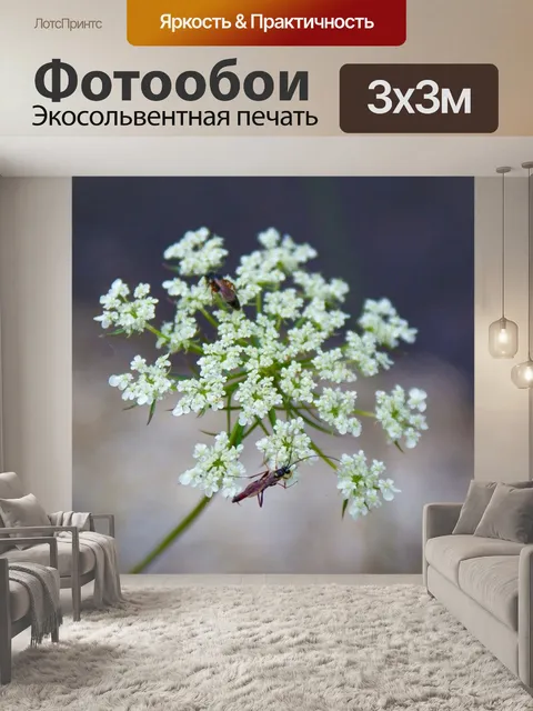 Фотообои Цветы
