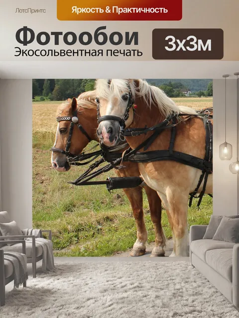 Фотообои Лошади
