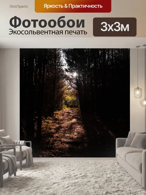 Фотообои Лес
