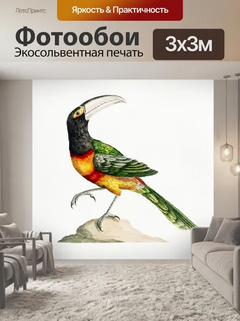 Фотообои Птица винтаж искусство старый
