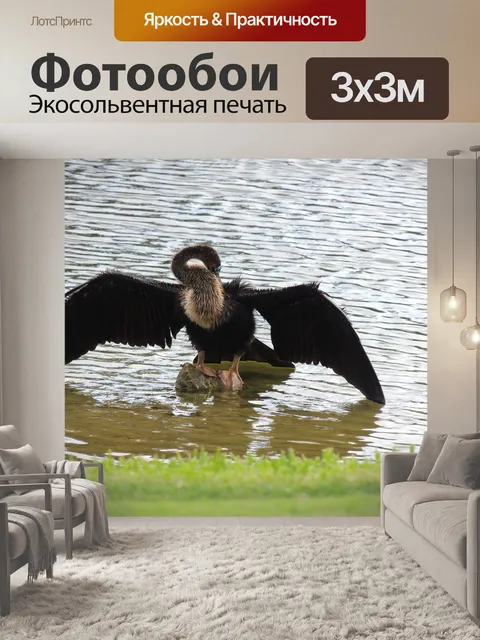 Фотообои Птица