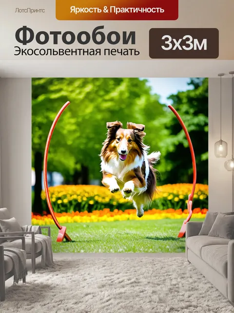 Фотообои шелти, ловко прыгающая через обруч в ярком парке, зелёные деревья и цветы вокруг