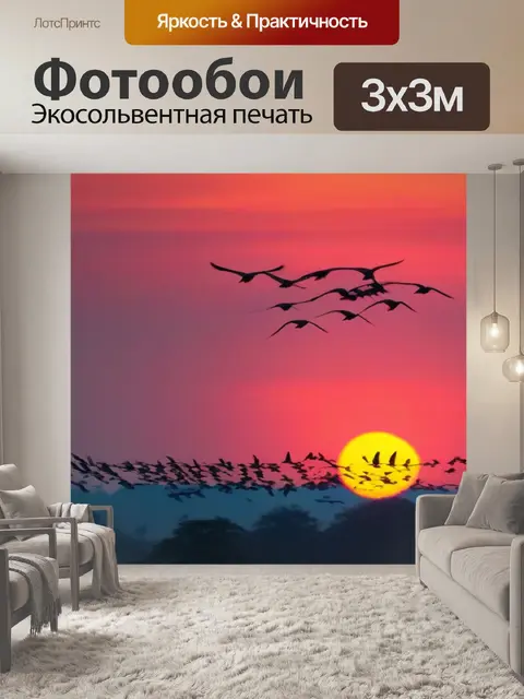 Фотообои рассвет с полетом птиц