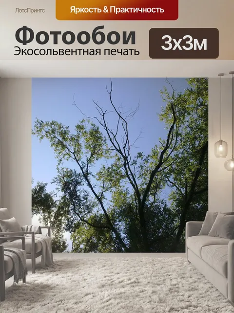 Фотообои Деревья