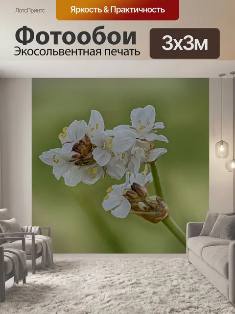 Фотообои белые цветы
