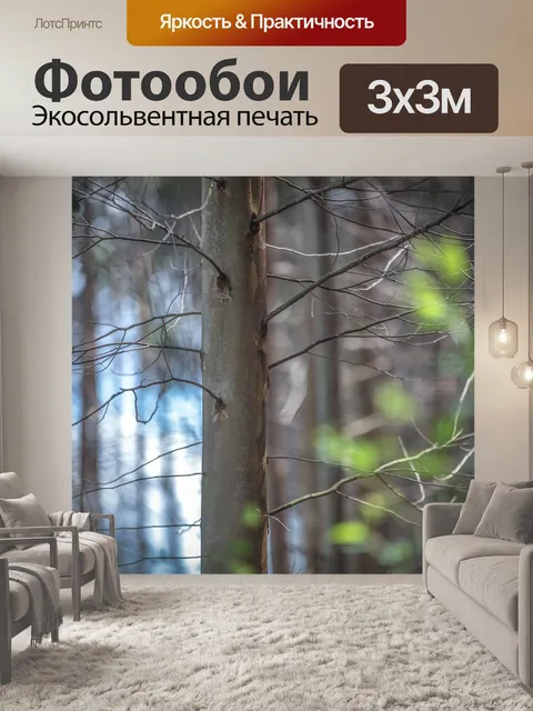 Фотообои Лес