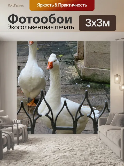 Фотообои Гусь