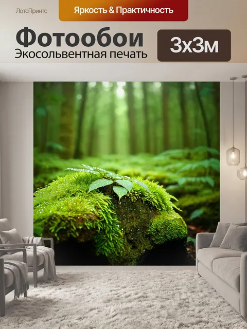 Фотообои зеленый мох на камнях, искрящиеся капли росы на листьях, утренний величественный пейзаж