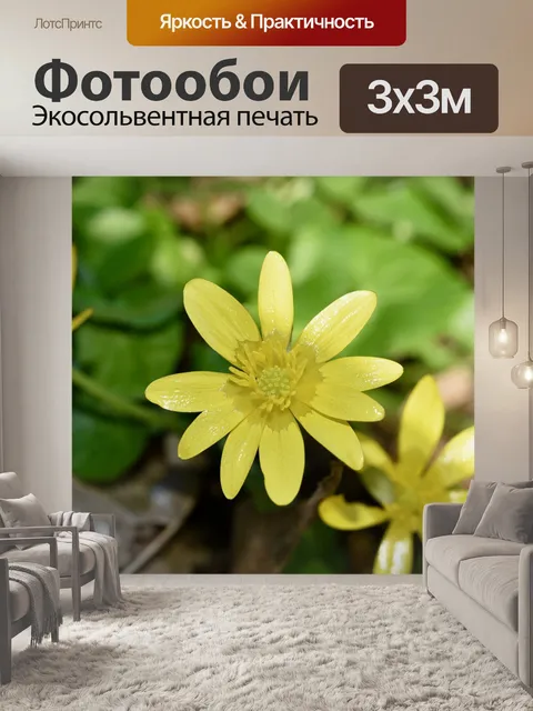 Фотообои Цветы
