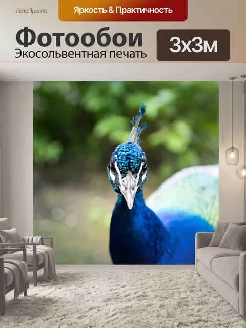 Фотообои Птица