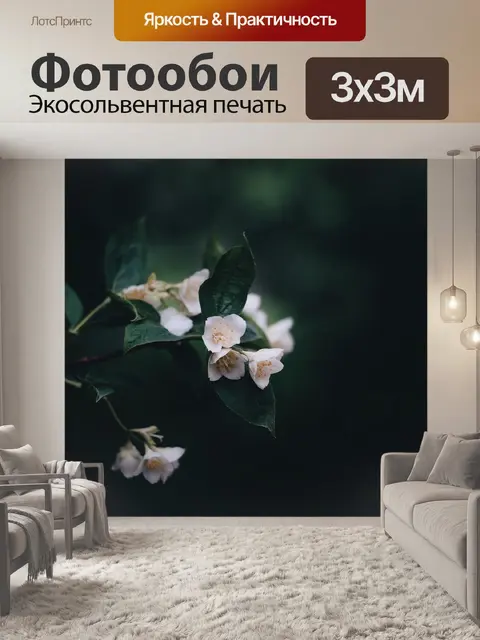 Фотообои Темный