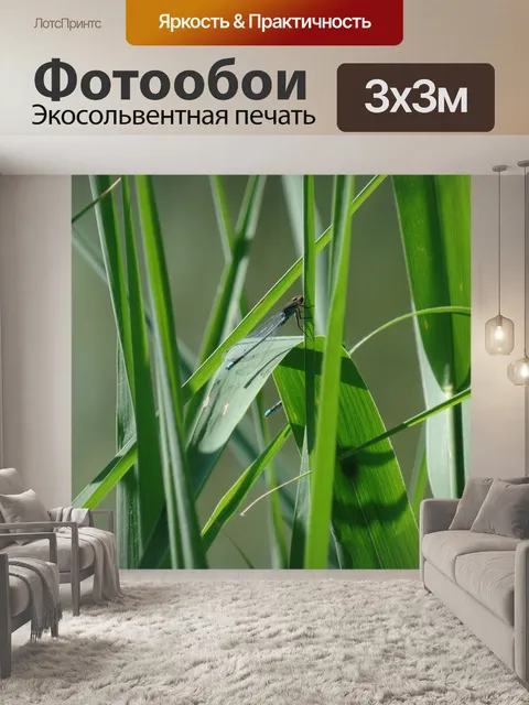 Фотообои Стрекоза