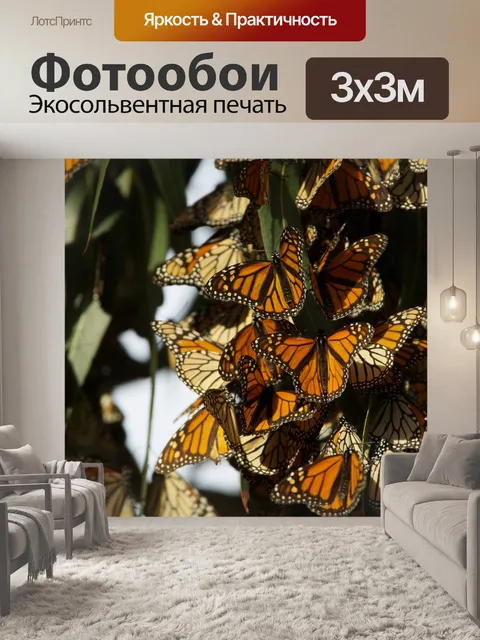 Фотообои Монархические бабочки