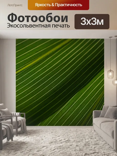 Фотообои Листья