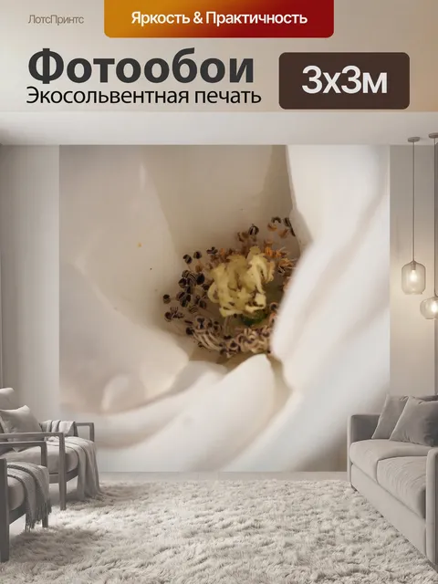 Фотообои Роза