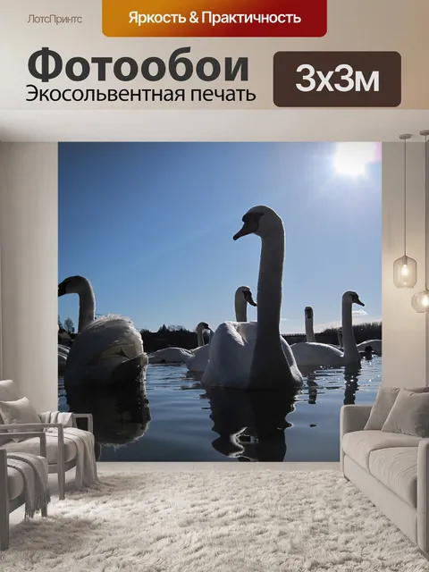Фотообои Лебеди