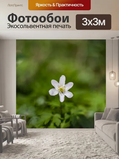 Фотообои Весна