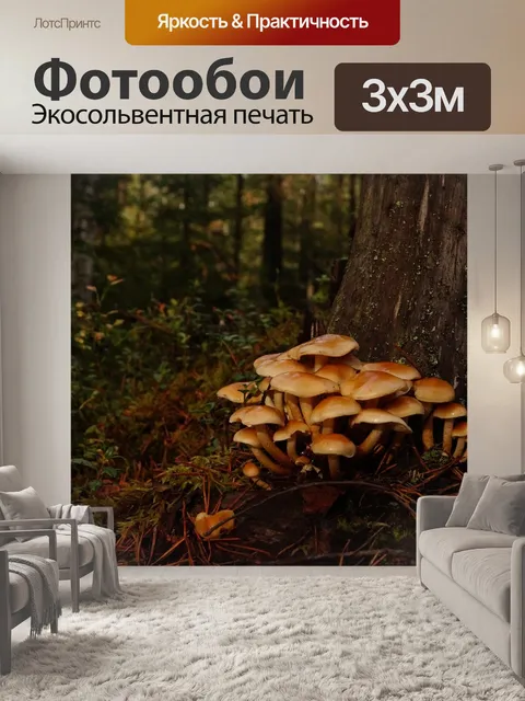Фотообои Лес
