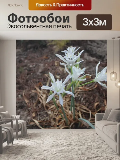 Фотообои Цветы