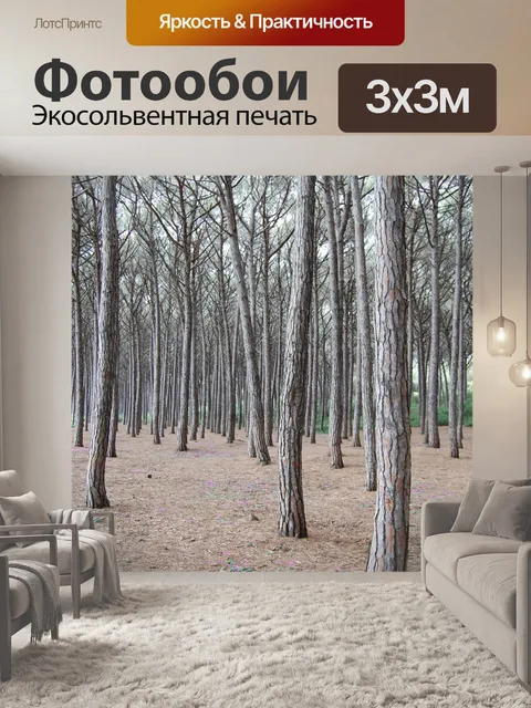 Фотообои Лес