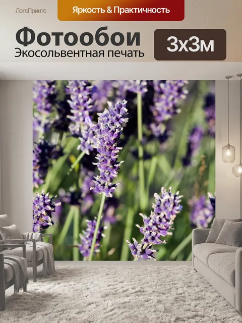 Фотообои Лаванда