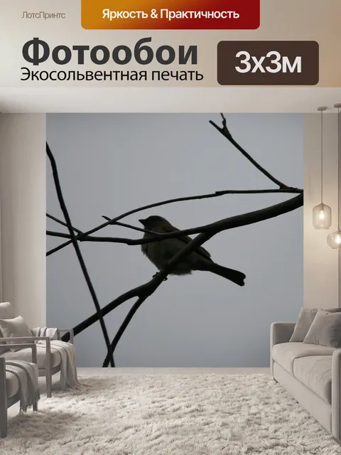 Фотообои Птицы