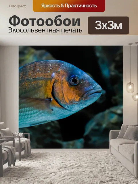 Фотообои Леща