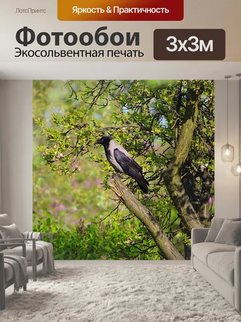 Фотообои Растительность