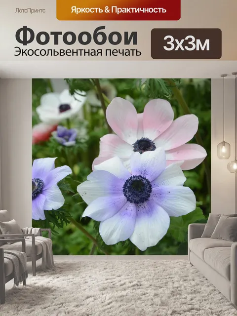 Фотообои Цветок
