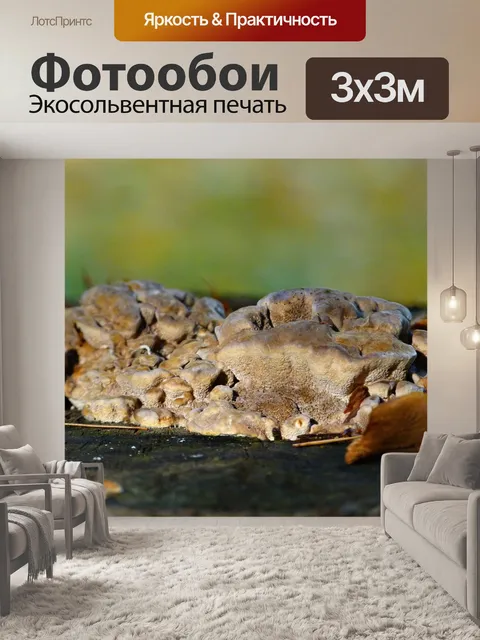 Фотообои Дерево