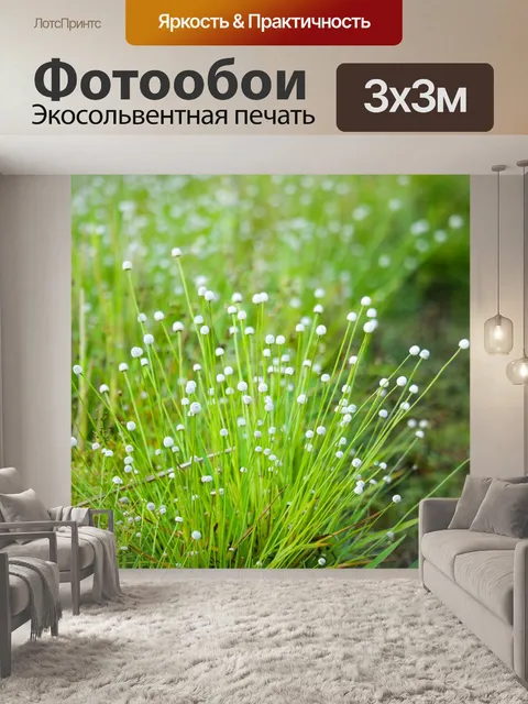Фотообои Цветы