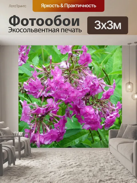 Фотообои Дача