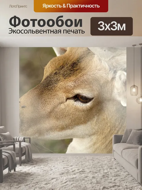 Фотообои Олень