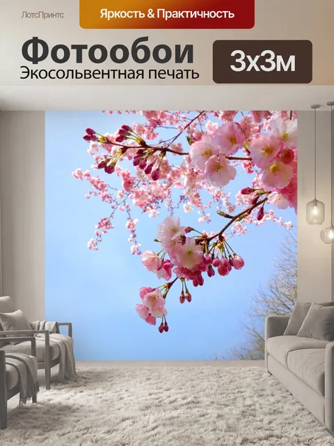 Фотообои Сакура