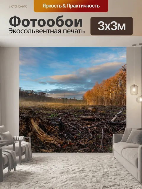 Фотообои Лес