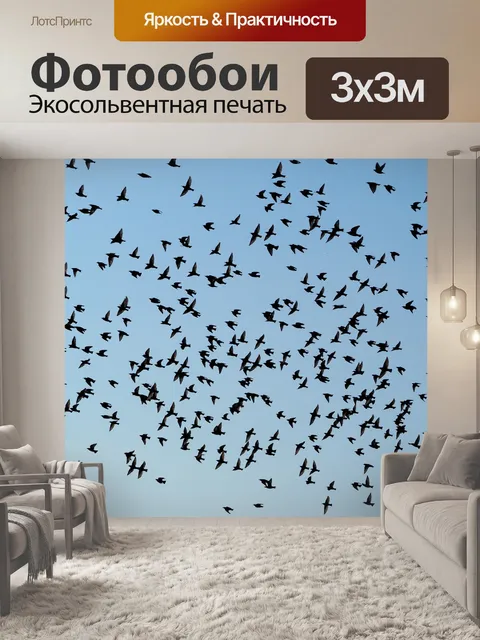 Фотообои Птицы