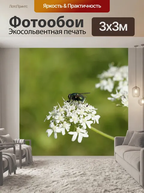 Фотообои Летать