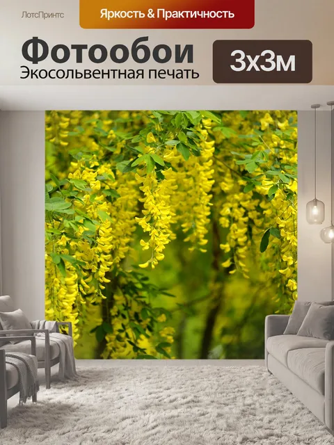 Фотообои Дерево