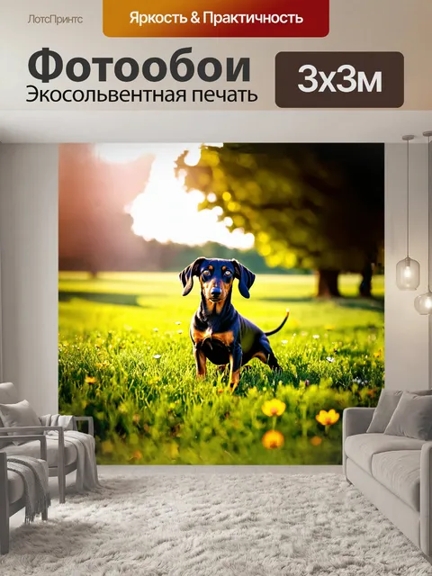 Фотообои в центре композиции — черная такса, удобно расположившаяся на зеленом лугу под солнечными лучами