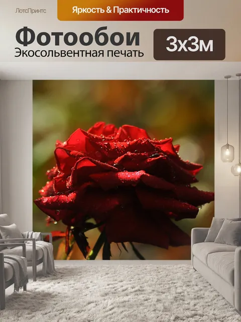 Фотообои Роза