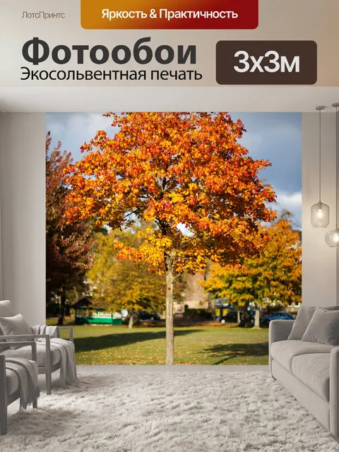 Фотообои красочные дерево в осень