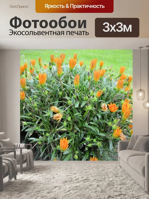 Фотообои Желтые цветы в саду